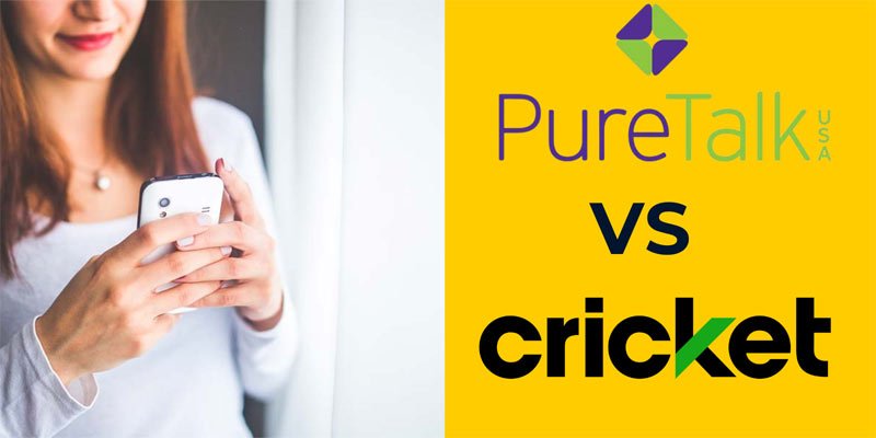 Pure Talk vs Cricket : Comparison Side by Side